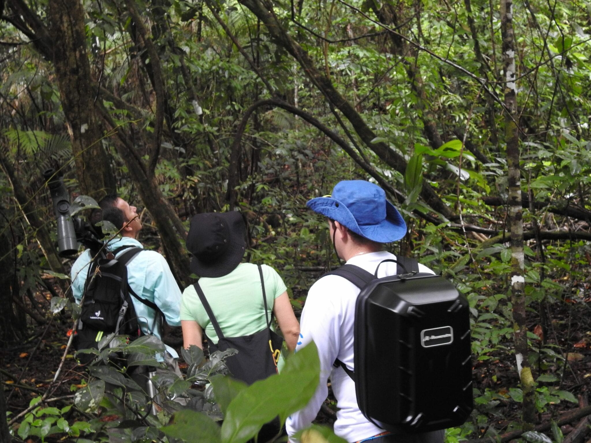 Hiking Corcovado in Costa Rica