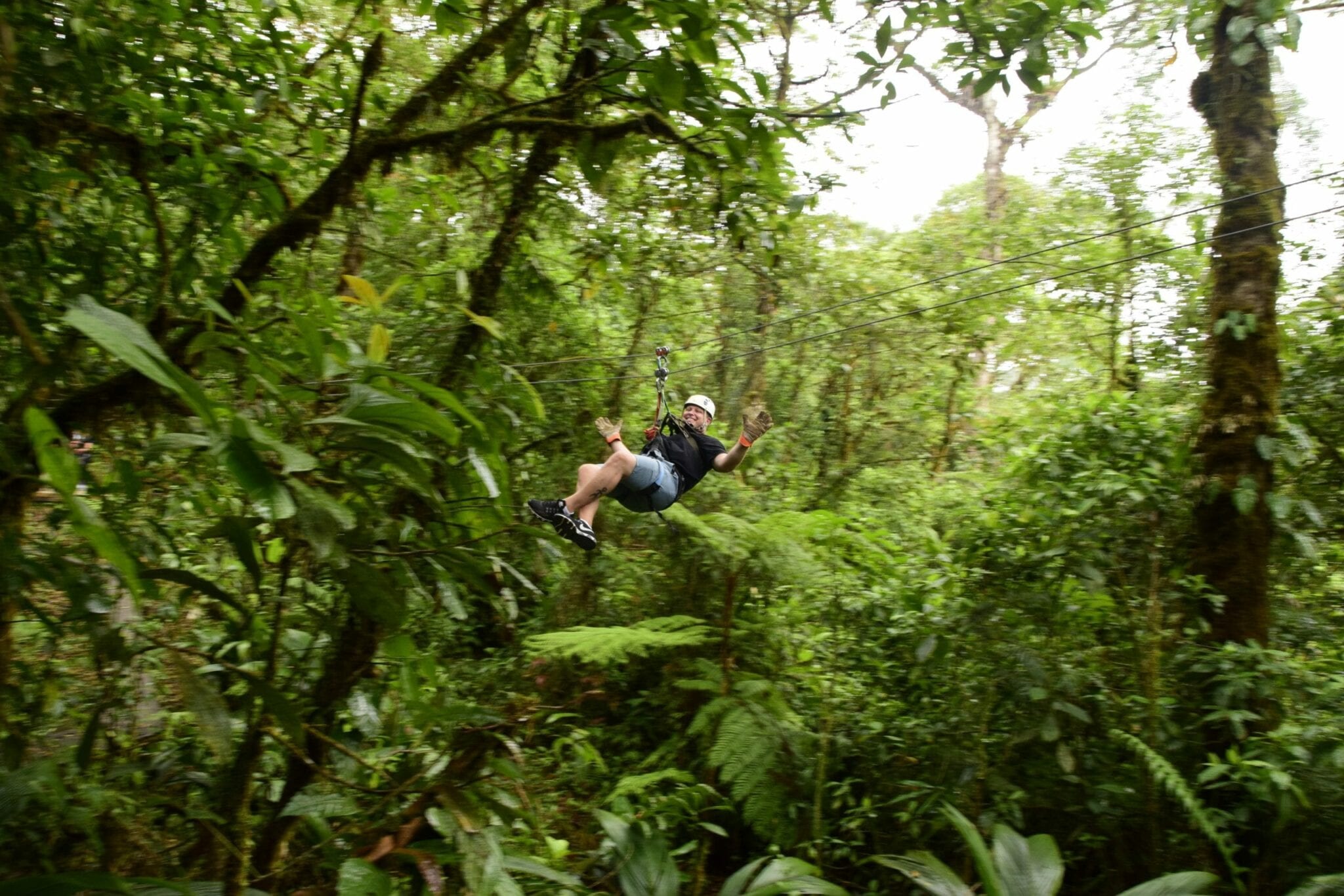 Canopy Zip-line Adventure