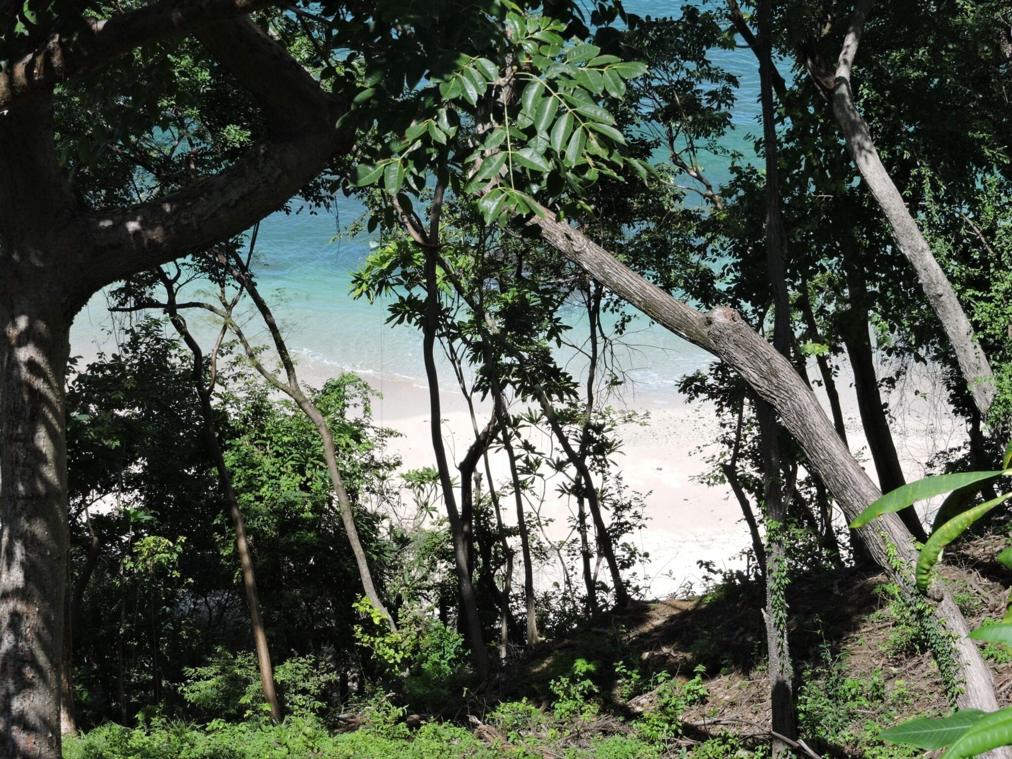 Drake Bay Beach, Costa Rica